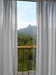 Вид из окна